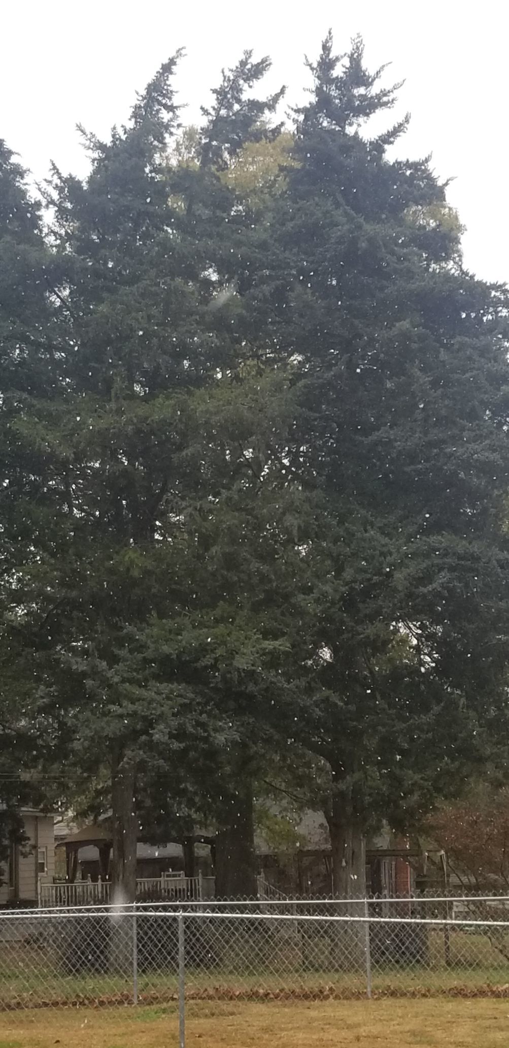 Greewnich, NJ Snow